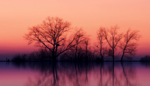 小区监控系统有哪些设备组成的,小区监控系统的作用