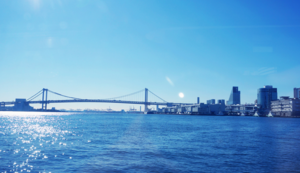 管理系统由那些要素构成组成,管理系统主要由什么构成