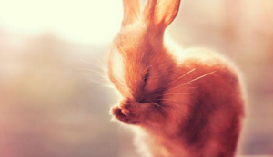 小区监控系统有哪些设备组成的,小区监控系统的作用